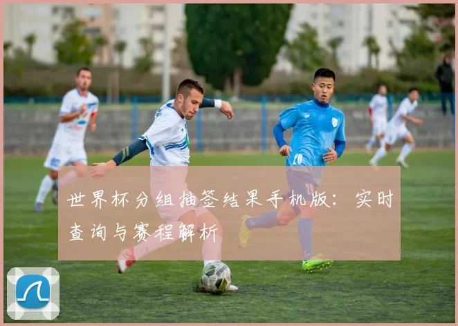 世界杯分组抽签结果手机版：实时查询与赛程解析
