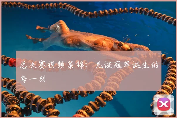 总决赛视频集锦：见证冠军诞生的每一刻